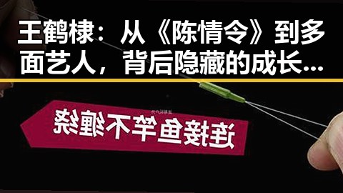王鹤棣：从《陈情令》到多面艺人，背后隐藏的成长与变化